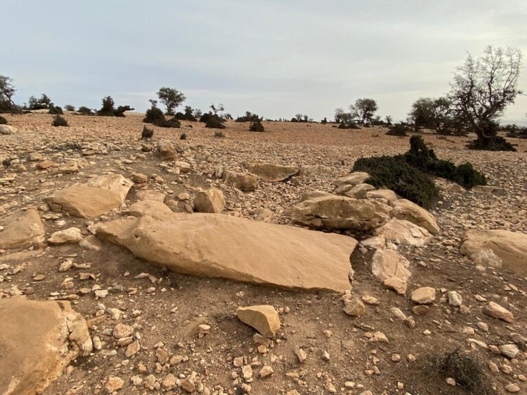 menhir tagragra